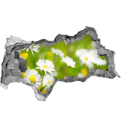 Pegatina decorativa agujero en la pared 3d Un paraíso de flores detrás de los muros.