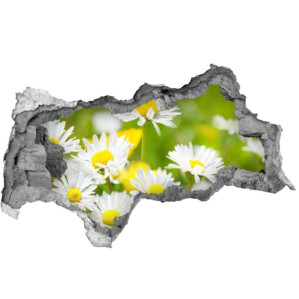 Vinilo efecto 3d pared rota irregular Flores en el prado