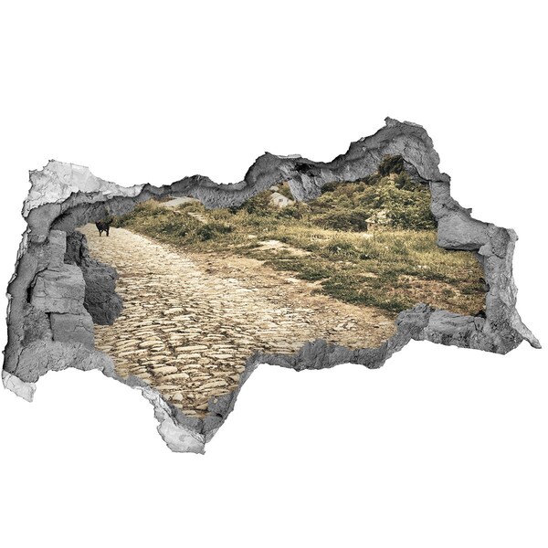 Fotomural autoadhesivo efecto agujero 3d Un encantador camino rural