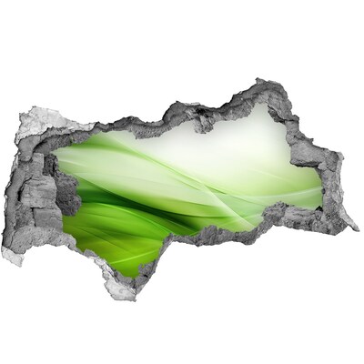 Vinilo adhesivo boquete en la pared rota Espacio verde detrás del hoyo