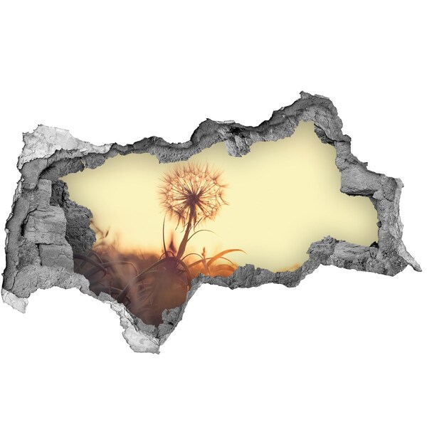 Pegatina decorativa agujero en la pared 3d Una flor bajo los rayos del sol.