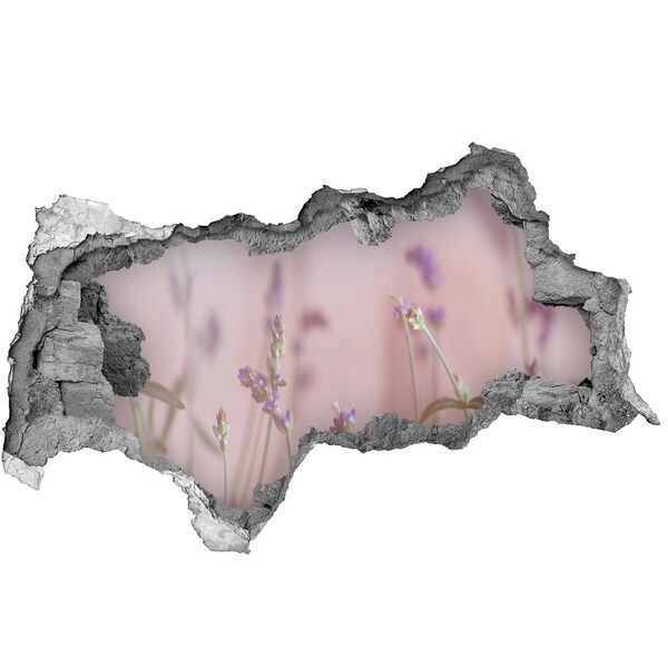 Vinilo efecto 3d pared rota irregular Prado de flores detrás del muro