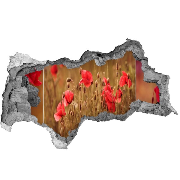 Pegatina decorativa agujero en la pared 3d Flores entre el muro en ruinas