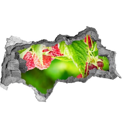 Fotomural autoadhesivo efecto agujero 3d Frambuesas en el jardín