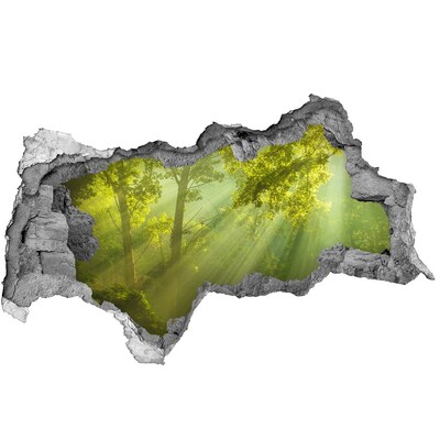 Fotomural autoadhesivo efecto agujero 3d Bosque verde con rayos de sol