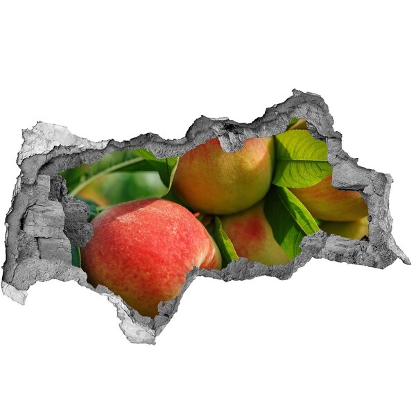 Vinilo adhesivo boquete en la pared rota huerto de manzanas