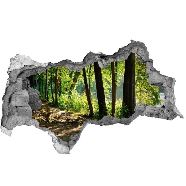 Fotomural autoadhesivo efecto agujero 3d Bosque verde junto al río