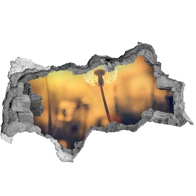 Vinilo adhesivo boquete en la pared rota Flor de diente de león bajo los rayos del sol.