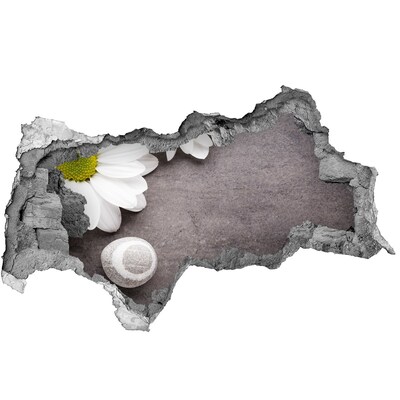 Fotomural autoadhesivo efecto agujero 3d Un sueño floral en hormigón