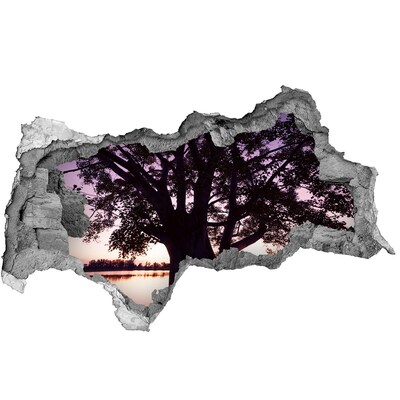 Samoprzylepna dziura na ścianę Zachód słońca za drzewem