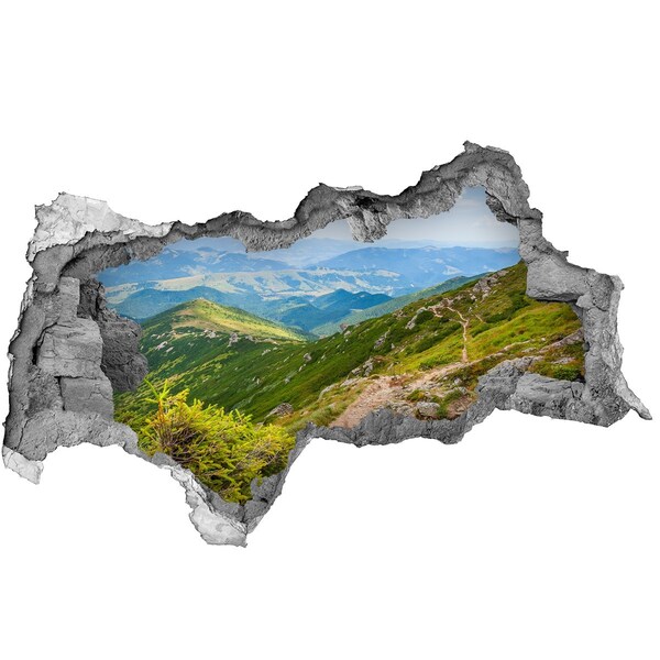 Vinilo efecto 3d pared rota irregular Paisaje de montaña con un camino