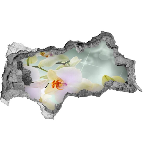 Pegatina decorativa agujero en la pared 3d Flores en hormigón