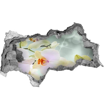 Pegatina decorativa agujero en la pared 3d Flores en hormigón