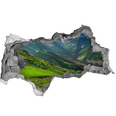 Fotomural autoadhesivo efecto agujero 3d Un valle verde en las montañas