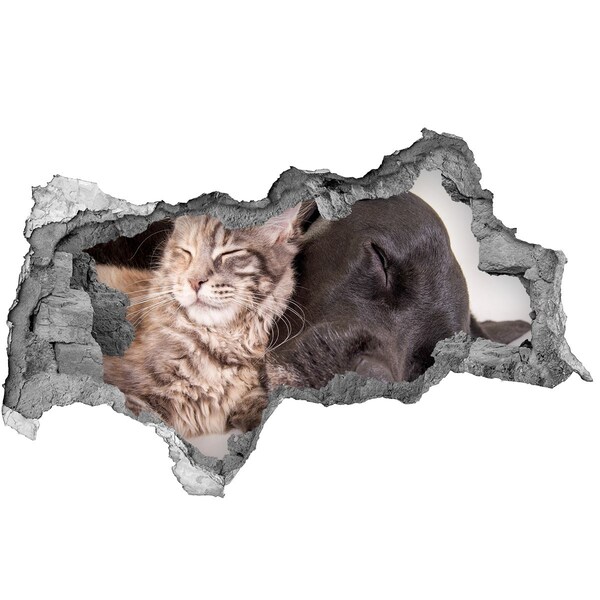 Vinilo adhesivo boquete en la pared rota Un dulce momento de amistad.