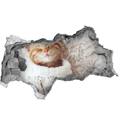 Fotomural autoadhesivo efecto agujero 3d Lindo gato con un suéter