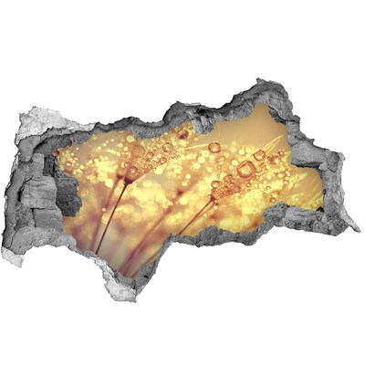 Fotomural autoadhesivo efecto agujero 3d Prados dorados bajo la luz del sol