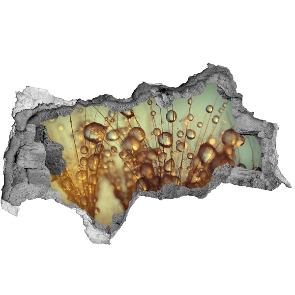 Fotomural autoadhesivo efecto agujero 3d Gotas sobre cabellos delicados