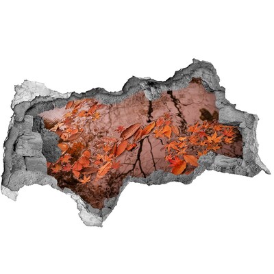 Fototapeta dziura na ścianę 3d Jesienna tafla wody