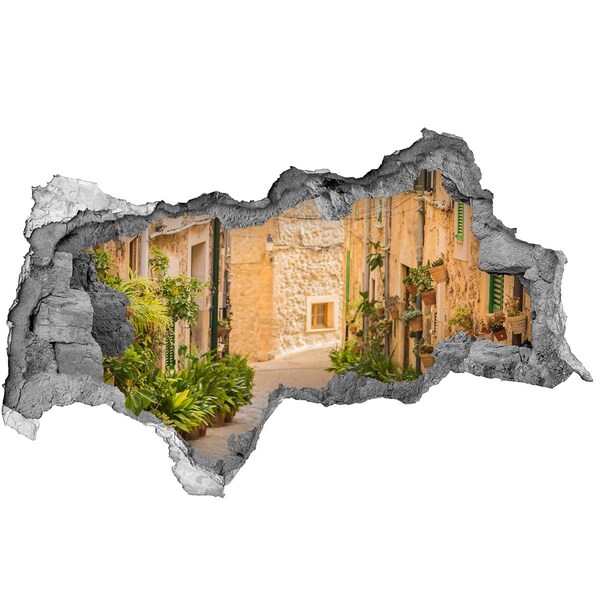 Vinilo efecto 3d pared rota irregular Una calle encantadora en el pueblo.