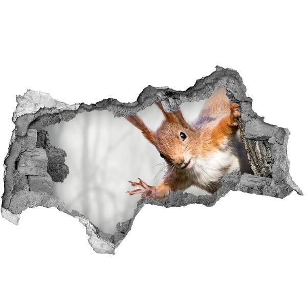 Vinilo adhesivo boquete en la pared rota Ardilla en acción