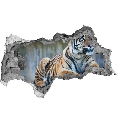 Pegatina decorativa agujero en la pared 3d Tigre en estado salvaje