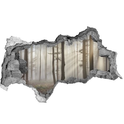 Fotomural autoadhesivo efecto agujero 3d Bosque brumoso a la luz de la mañana