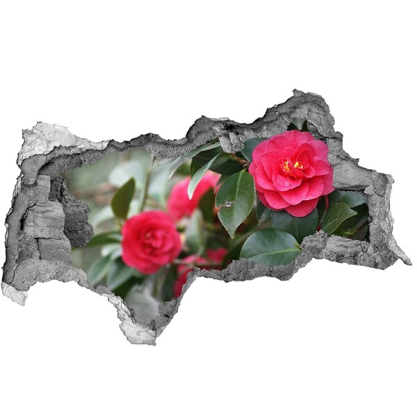 Vinilo adhesivo boquete en la pared rota Jardín de flores en hormigón