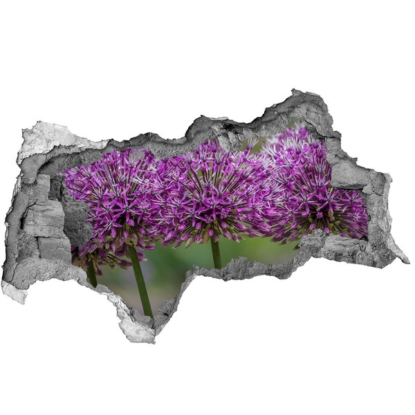 Vinilo efecto 3d pared rota irregular Flores en flor
