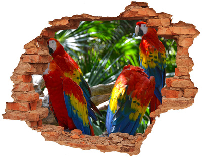 Pegatina de vinilo agujero 3d para pared Loros tropicales en la selva