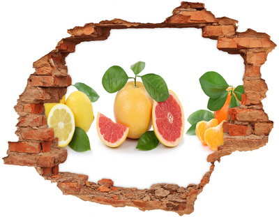 Pegatina de vinilo agujero 3d para pared Un paraíso frutal escondido en la pared
