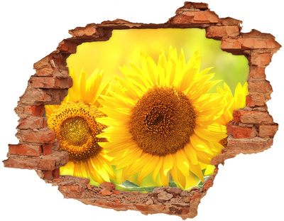 Pegatina de vinilo agujero 3d para pared Girasol en hormigón