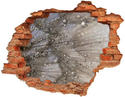 Samoprzylepna naklejka na ścianę Krople wody na szkle