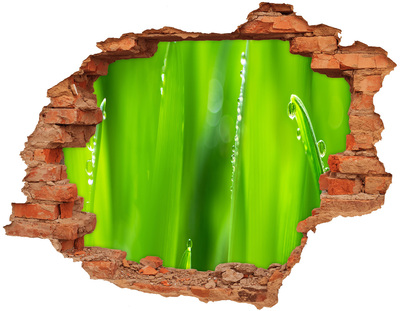 Vinilo pared rota 3d efecto realista Prado verde con gotas de agua