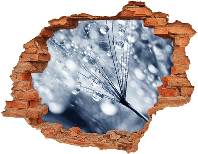 Trampantojo de pared rota efecto profundidad Gotas de rocío sobre un diente de león