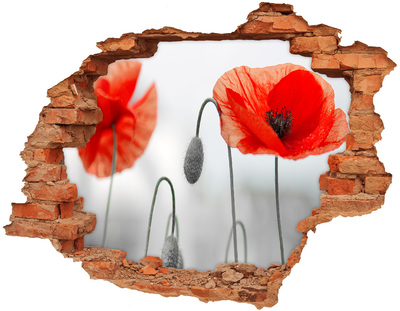 Samoprzylepna naklejka na ścianę fototapeta Kwiaty w dziurze w ścianie