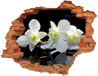 Vinilo pared rota 3d efecto realista Flores y piedras en estilo zen