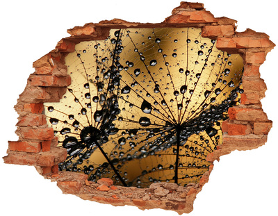 Vinilo pared rota 3d efecto realista Gotas sobre las hojas