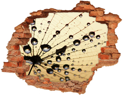 Pegatina de vinilo agujero 3d para pared Gotas de agua en el ala de una mariposa