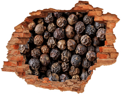 Pegatina agujero en la pared autoadhesiva Especia dorada en un agujero en la pared