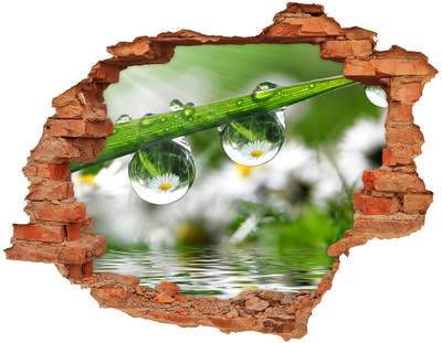 Vinilo pared rota 3d efecto realista Oasis floral con gotas de agua