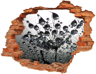 Vinilo pared rota 3d efecto realista Gotas de agua sobre un diente de león