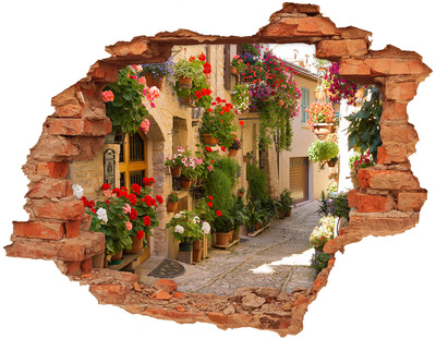 Vinilo pared rota 3d efecto realista Una encantadora calle con flores