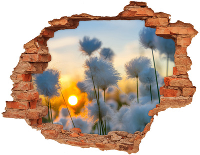 Vinilo pared rota 3d efecto realista Flores al atardecer