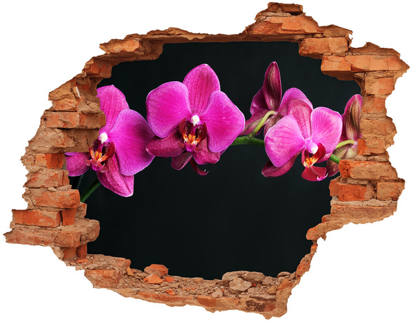 Samoprzylepna dziura naklejka Orchidea przez ścianę