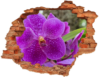 Pegatina de vinilo agujero 3d para pared Flor de orquídea en un agujero en la pared