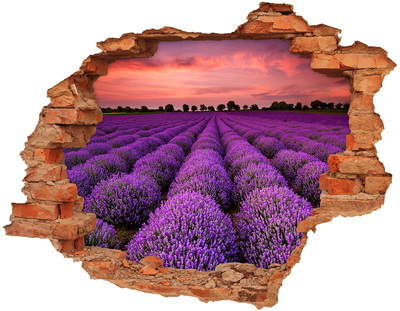 Pegatina de vinilo agujero 3d para pared Campos de lavanda al atardecer