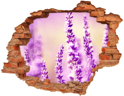Pegatina de vinilo agujero 3d para pared Flores de lavanda en una pared rota