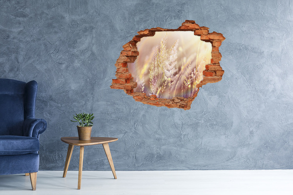 Samoprzylepna dziura naklejka Kwiatowa łąka za ścianą