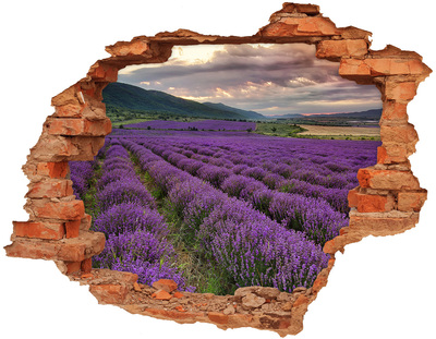 Trampantojo de pared rota efecto profundidad Campos de lavanda bajo los rayos del sol poniente